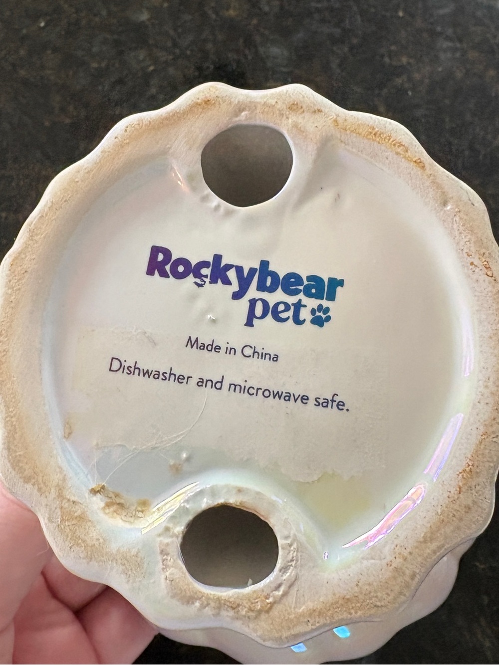 🤍 Rocky bear pet 🤍Shell Shaped Decorative Dish for cat food 🤍 - Picture 4 of 4
